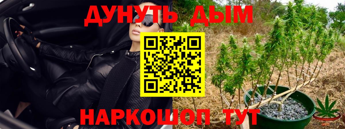 Шишки марихуана VHQ  Вход с VPN  Бошки Шишки White Widow  Сертолово  Марихуана White Widow 